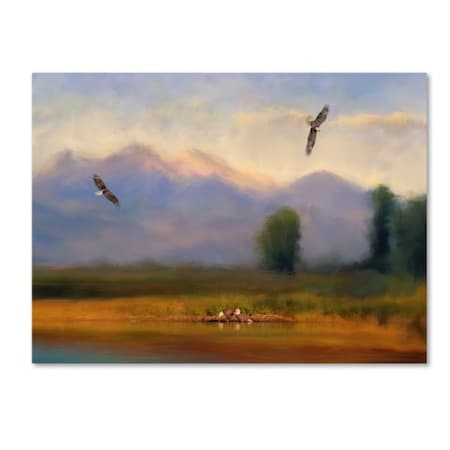 Jai Johnson 'Where Eagles Play' Canvas Art,14x19